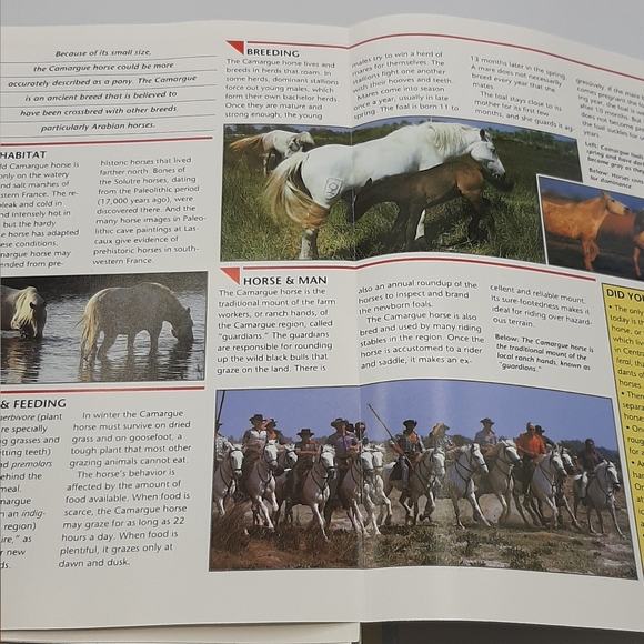 Vintage 1990 WILDLIFE FACT FILE Animal Binder 11 Dividers 260+ Cards Homeschool - Picture 9 of 10